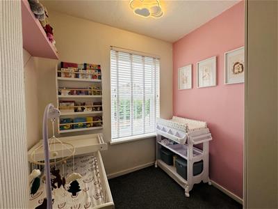 Picture 12
